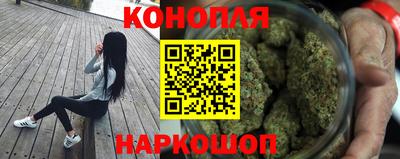 крисы Дубна