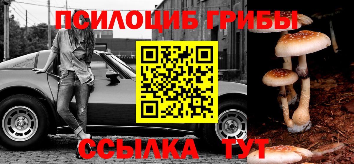 Псилоцибиновые грибы Psilocybine cubensis  Вход с VPN  Кимовск 