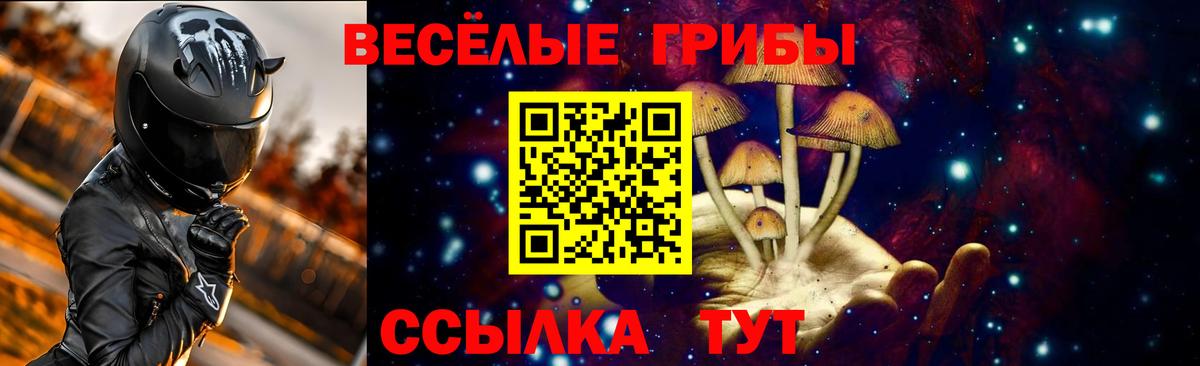Псилоцибиновые грибы MAGIC MUSHROOMS Кимовск